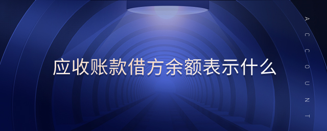 應收賬款借方余額表示什么