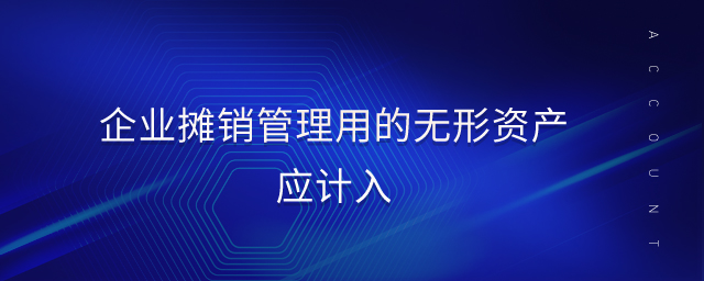 企業(yè)攤銷管理用的無形資產(chǎn)應(yīng)計入