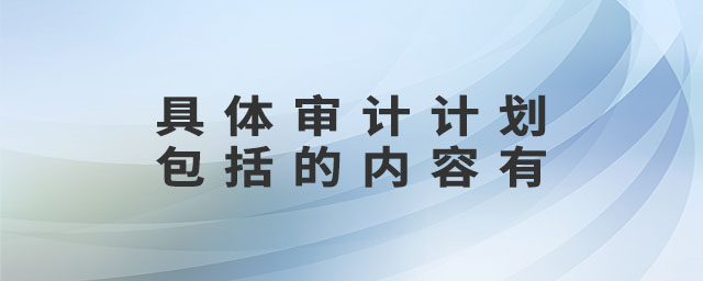 具體審計(jì)計(jì)劃包括的內(nèi)容有