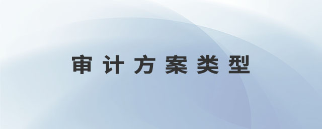 審計(jì)方案類型