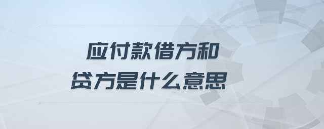 應付款借方和貸方是什么意思