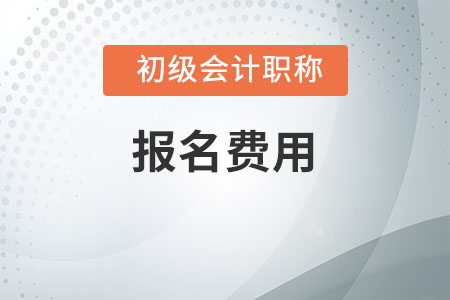 天津2020年初級(jí)會(huì)計(jì)職稱考試報(bào)名費(fèi)用是多少,？