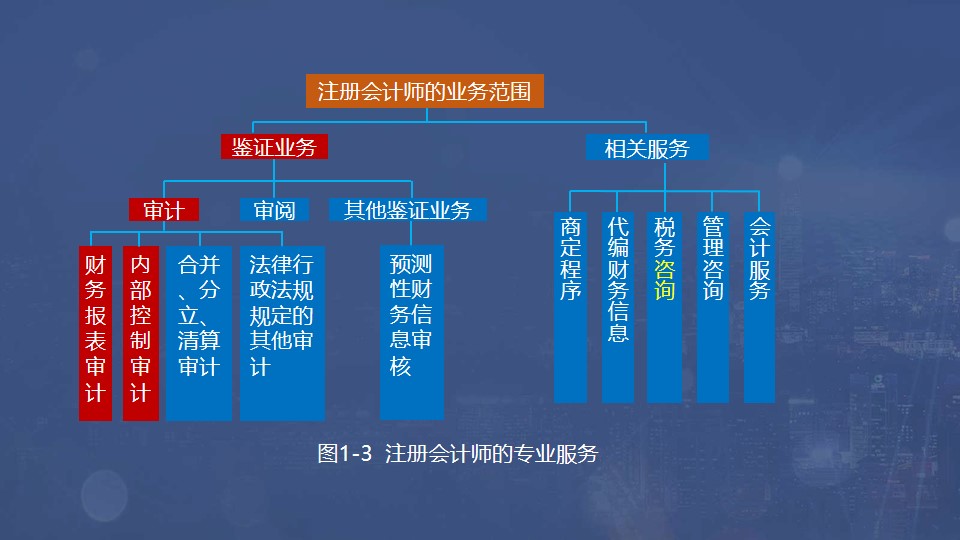 注冊(cè)會(huì)計(jì)師的專業(yè)服務(wù)