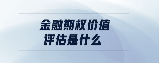 金融期權(quán)價(jià)值評(píng)估是什么