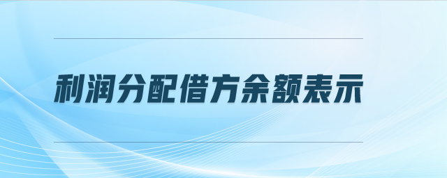 利潤分配借方余額表示