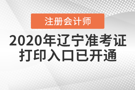 2020年遼寧注冊會計(jì)師準(zhǔn)考證打印入口已開通