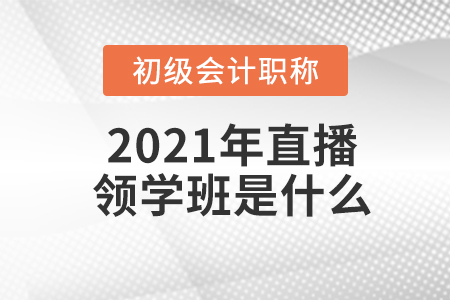 2021年初級會計職稱直播領學班是什么