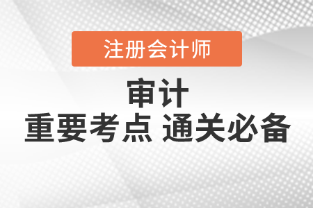 審計的固有限制可能影響注冊會計師保持職業(yè)懷疑