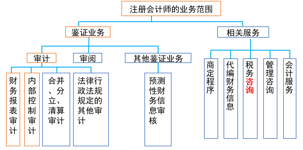 注冊會計師的專業(yè)服務