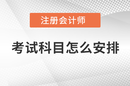 注冊會計師考試科目怎么安排