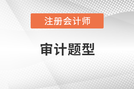 注冊會計師審計題型