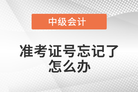 中級會計準(zhǔn)考證號忘記了怎么辦