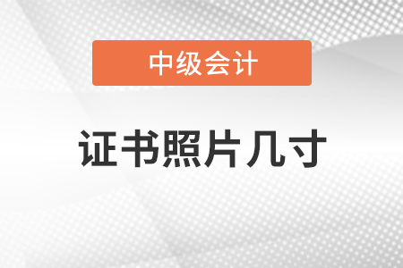 中級(jí)會(huì)計(jì)師證書(shū)照片幾寸