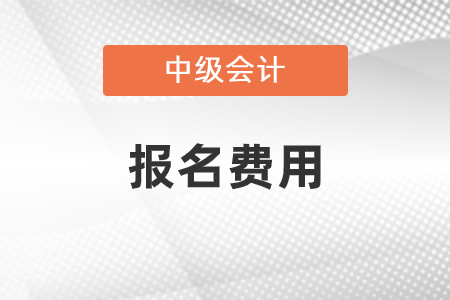 2021年寧夏初級會計(jì)考試報(bào)名費(fèi)是多少