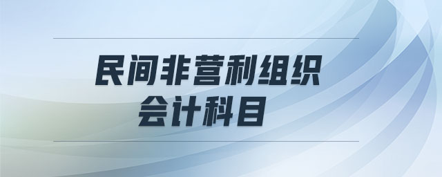 民間非營(yíng)利組織會(huì)計(jì)科目