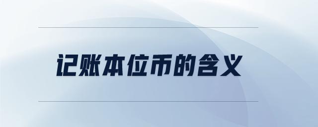 記賬本位幣的含義