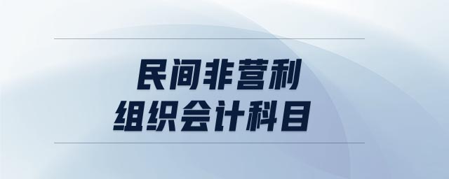 民間非營利組織會計(jì)科目