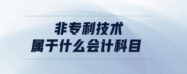 非專利技術(shù)屬于什么會計科目