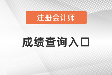 2020年注冊會計師成績公布,！點擊進入查分入口,！