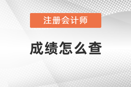 2020年注冊會計師成績出來了,，該怎么查,？