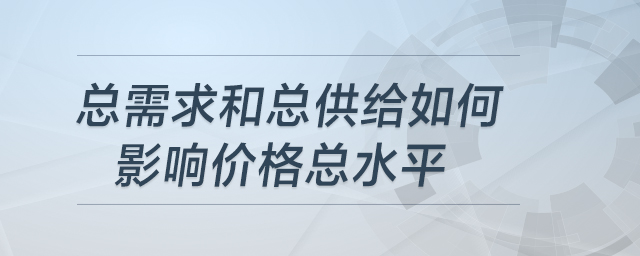 總需求和總供給如何影響價(jià)格總水平