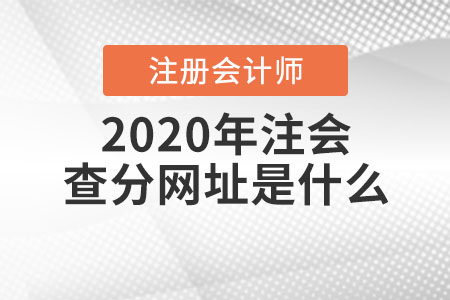 2020年注會查分網(wǎng)址是什么,？