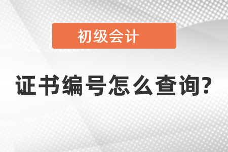 2020年初級會計(jì)證書的編號怎么查詢?