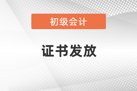 黑龍江齊齊哈爾暫不發(fā)放2020年初級(jí)會(huì)計(jì)證書