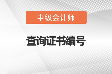 2021年怎樣查詢中級會計(jì)證書編號