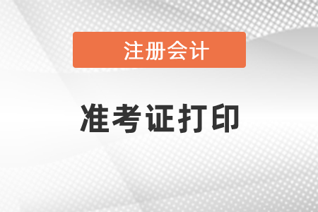 2021年CPA準(zhǔn)考證什么時(shí)候可以打印