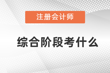 注冊會計師綜合階段考什么？