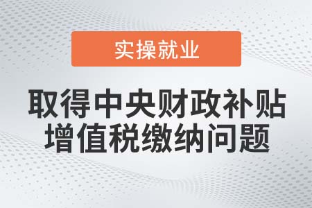 企業(yè)取得的中央財(cái)政補(bǔ)貼需要繳納增值稅嗎,？