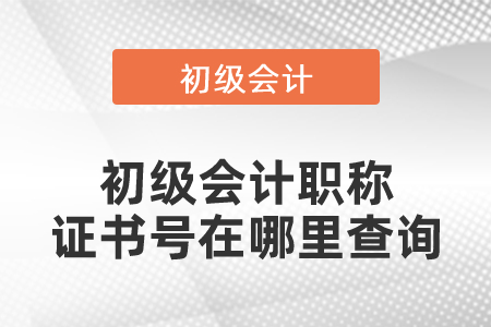 初級(jí)會(huì)計(jì)職稱證書號(hào)在哪里查詢