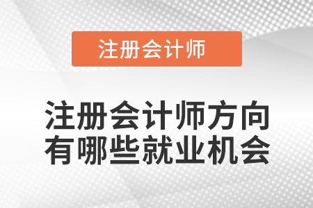 注冊會計師方向有哪些就業(yè)機會