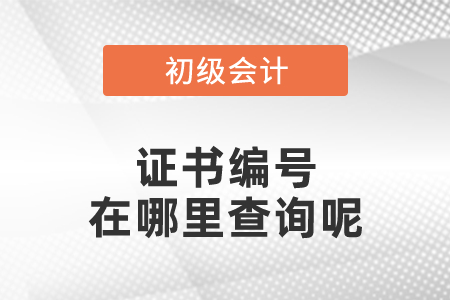 初級會計證書編號在哪里查詢呢