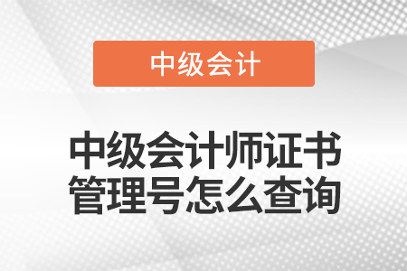 中級會計師證書管理號怎么查詢