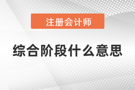 注會綜合階段什么意思？