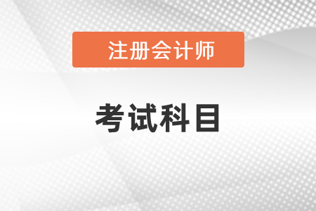 2021年cpa專業(yè)階段考試科目