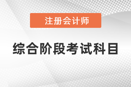 注冊(cè)會(huì)計(jì)師綜合階段考試科目