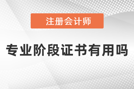 注冊會計師專業(yè)階段證書有用嗎