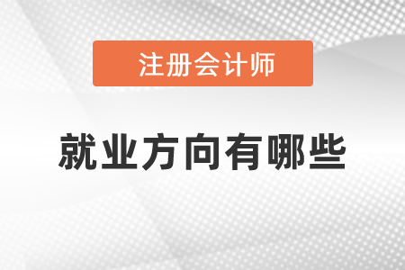 注冊會計師就業(yè)方向有哪些