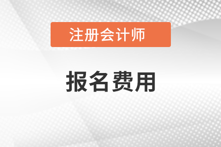 2021年注會報(bào)名費(fèi)用