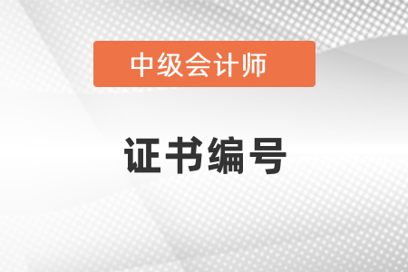 怎么查中級(jí)會(huì)計(jì)證書的證書編號(hào),？