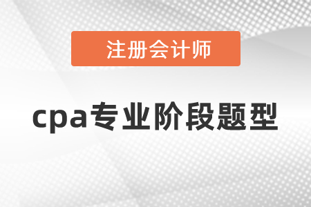 cpa專業(yè)階段題型