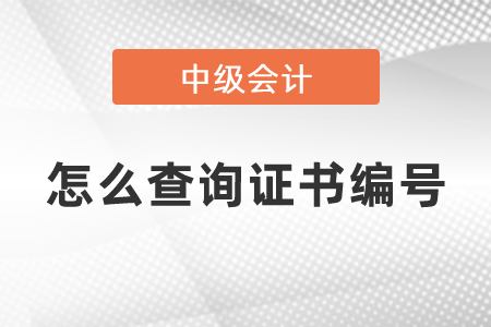 怎么查詢中級(jí)會(huì)計(jì)師證書編號(hào)