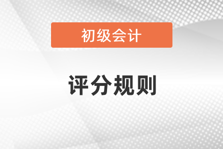 初級會計考試不定項題評分規(guī)則