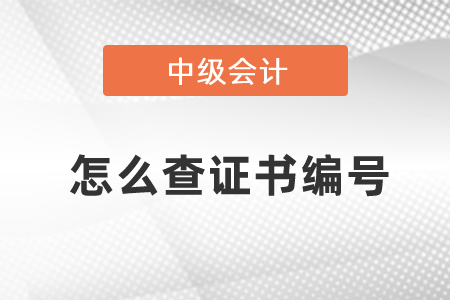 怎么查中級會計證書編號