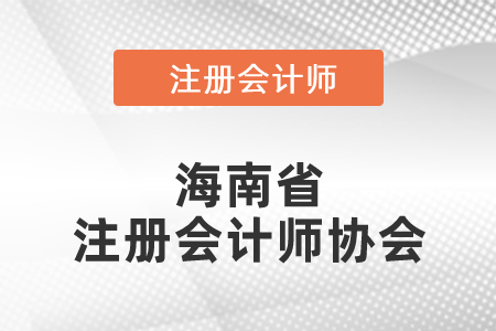 海南省注冊會計師協(xié)會