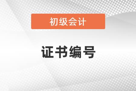 怎么查詢初級會計證書編號,？