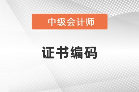 中級會計證書編號怎么查詢？